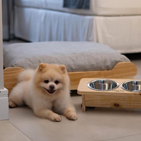 Tintto Hotel 福塔雷萨 外观 照片