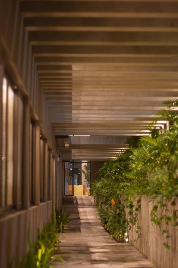 Tintto Hotel 福塔雷萨 外观 照片